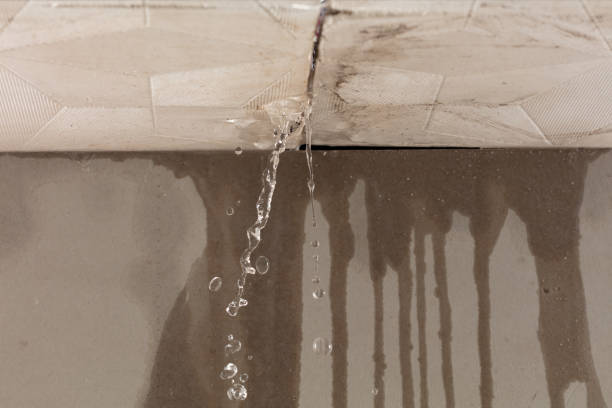 Professional Structural Drying technician working in Montville, NJ